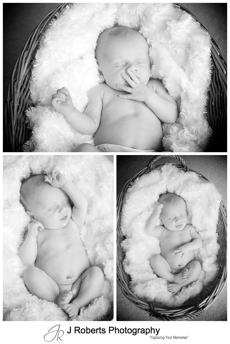 B&W portraits of a newborn baby in a basket - sydney newborn baby portrait photographer